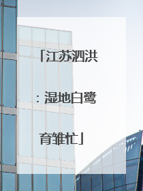 江苏泗洪：湿地白鹭育雏忙