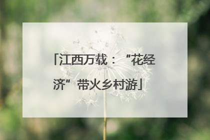 江西万载：“花经济”带火乡村游