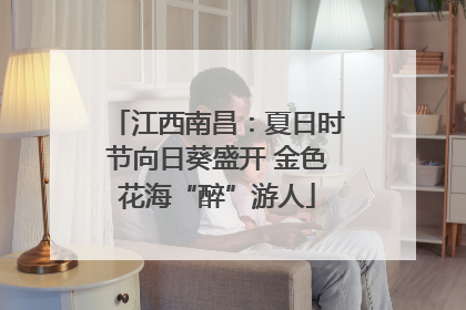 江西南昌：夏日时节向日葵盛开 金色花海“醉”游人