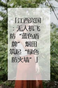 江西兴国：无人机飞防“蓝色盾牌” 烟田筑起“绿色防火墙”