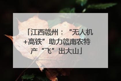 江西赣州：“无人机+高铁”助力赣南农特产“飞”出大山