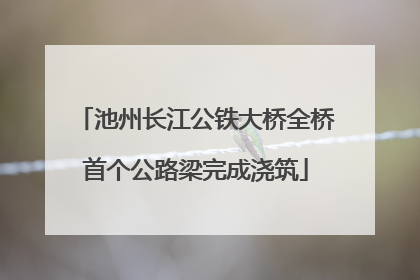 池州长江公铁大桥全桥首个公路梁完成浇筑