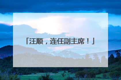 汪顺，连任副主席！