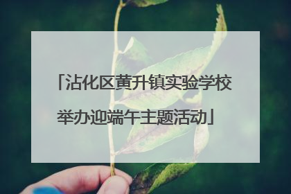 沾化区黄升镇实验学校举办迎端午主题活动