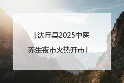 沈丘县2025中医养生夜市火热开市