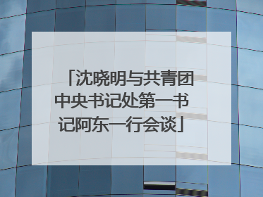 沈晓明与共青团中央书记处第一书记阿东一行会谈