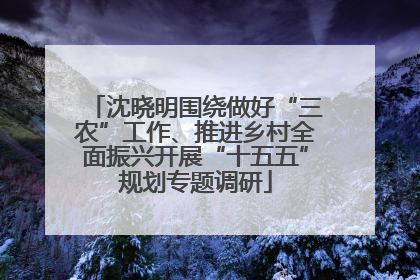 沈晓明围绕做好“三农”工作、推进乡村全面振兴开展“十五五”规划专题调研
