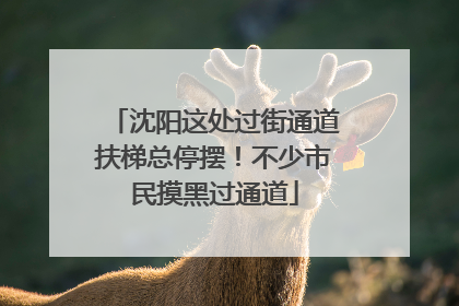 沈阳这处过街通道扶梯总停摆！不少市民摸黑过通道