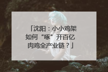 沈阳：小小鸡架如何“啄”开百亿肉鸡全产业链？