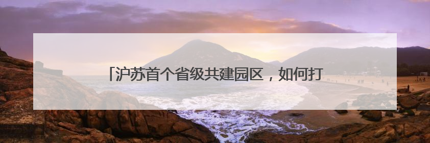沪苏首个省级共建园区，如何打造长三角“飞地经济”示范区