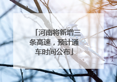 河南将新增三条高速，预计通车时间公布