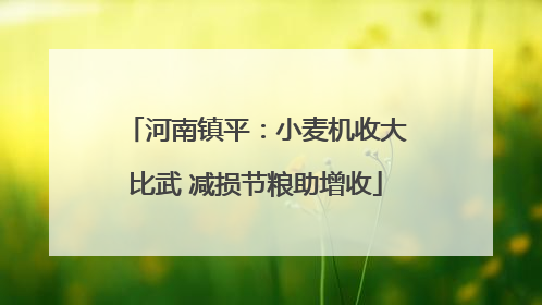 河南镇平：小麦机收大比武 减损节粮助增收