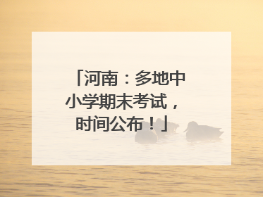 河南：多地中小学期末考试，时间公布！