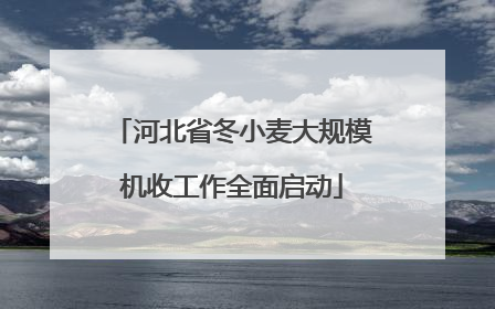 河北省冬小麦大规模机收工作全面启动