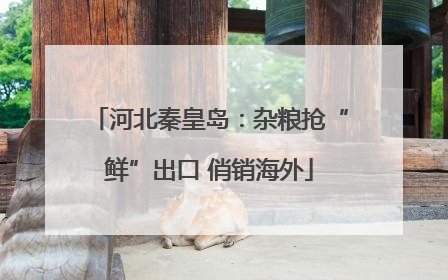 河北秦皇岛：杂粮抢“鲜”出口 俏销海外