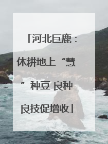 河北巨鹿：休耕地上“慧”种豆 良种良技促增收