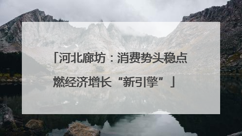 河北廊坊：消费势头稳点燃经济增长“新引擎”