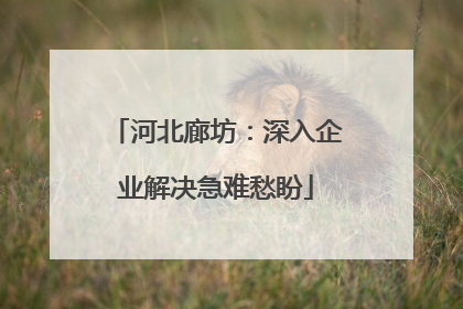 河北廊坊：深入企业解决急难愁盼