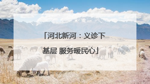 河北新河：义诊下基层 服务暖民心