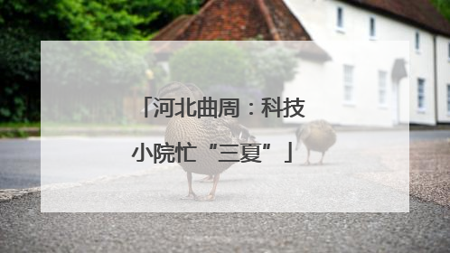 河北曲周：科技小院忙“三夏”