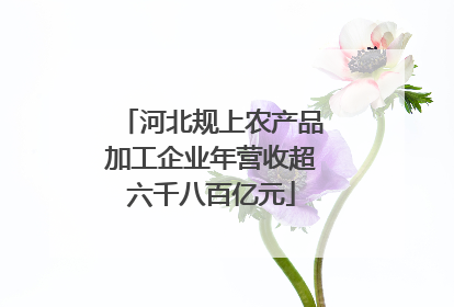 河北规上农产品加工企业年营收超六千八百亿元