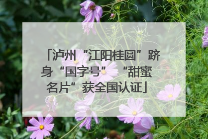 泸州“江阳桂圆”跻身“国字号” “甜蜜名片”获全国认证