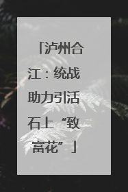 泸州合江：统战助力引活石上“致富花”