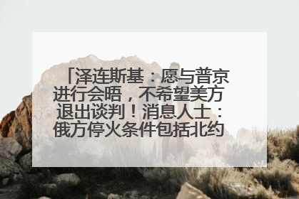 泽连斯基：愿与普京进行会晤，不希望美方退出谈判！消息人士：俄方停火条件包括北约“书面”保证不东扩
