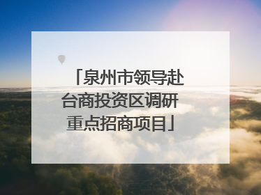 泉州市领导赴台商投资区调研重点招商项目