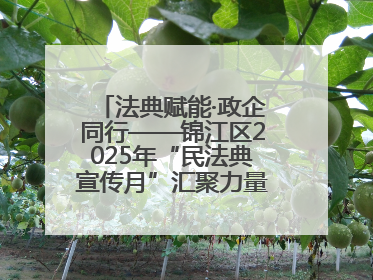 法典赋能·政企同行——锦江区2025年“民法典宣传月”汇聚力量 助推企业发展