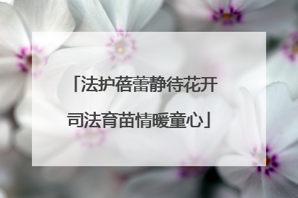 法护蓓蕾静待花开 司法育苗情暖童心
