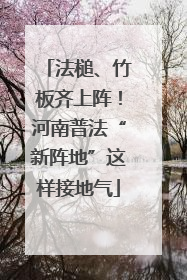 法槌、竹板齐上阵！河南普法“新阵地”这样接地气