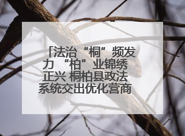 法治“桐”频发力 “柏”业锦绣正兴 桐柏县政法系统交出优化营商环境“成绩单”
