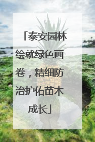 泰安园林绘就绿色画卷，精细防治护佑苗木成长