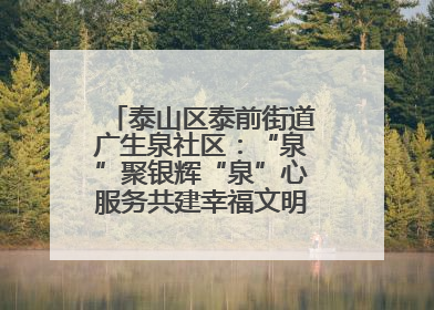 泰山区泰前街道广生泉社区：“泉”聚银辉“泉”心服务共建幸福文明和谐家园