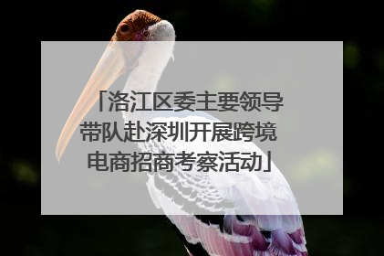 洛江区委主要领导带队赴深圳开展跨境电商招商考察活动