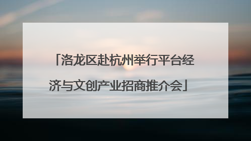 洛龙区赴杭州举行平台经济与文创产业招商推介会