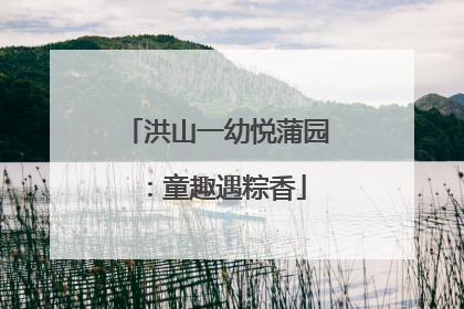 洪山一幼悦蒲园：童趣遇粽香
