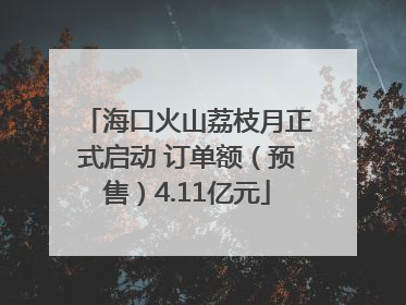 海口火山荔枝月正式启动 订单额（预售）4.11亿元