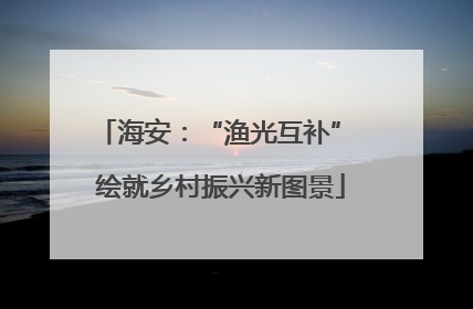 海安：“渔光互补” 绘就乡村振兴新图景
