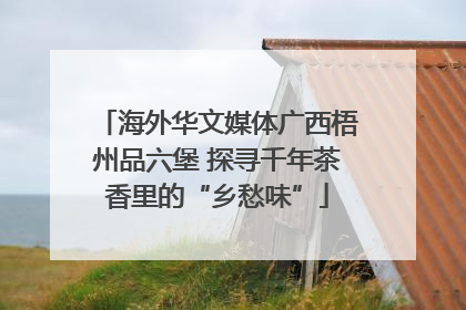 海外华文媒体广西梧州品六堡 探寻千年茶香里的“乡愁味”