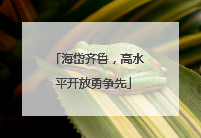 海岱齐鲁，高水平开放勇争先