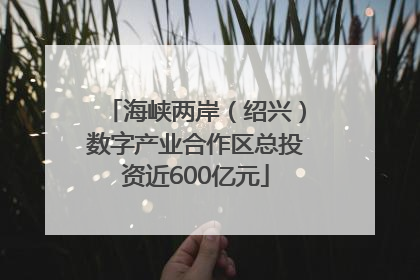 海峡两岸（绍兴）数字产业合作区总投资近600亿元