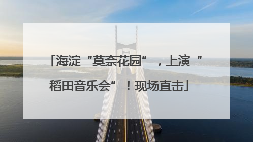 海淀“莫奈花园”，上演“稻田音乐会”！现场直击