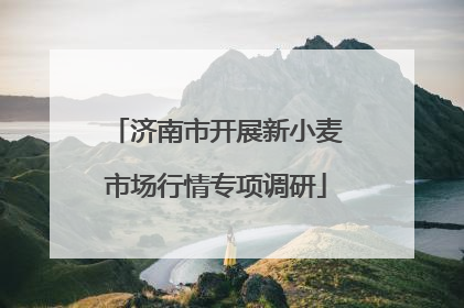 济南市开展新小麦市场行情专项调研