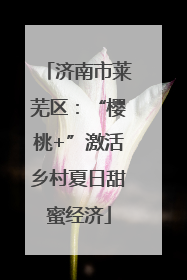 济南市莱芜区：“樱桃+”激活乡村夏日甜蜜经济