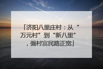 济阳八里庄村：从“万元村”到“新八里”，强村富民路正宽