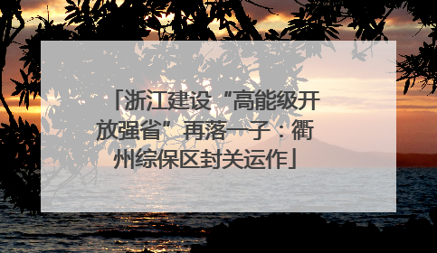 浙江建设“高能级开放强省”再落一子：衢州综保区封关运作