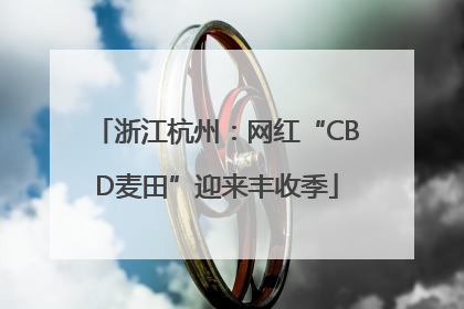 浙江杭州：网红“CBD麦田”迎来丰收季