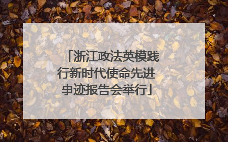 浙江政法英模践行新时代使命先进事迹报告会举行